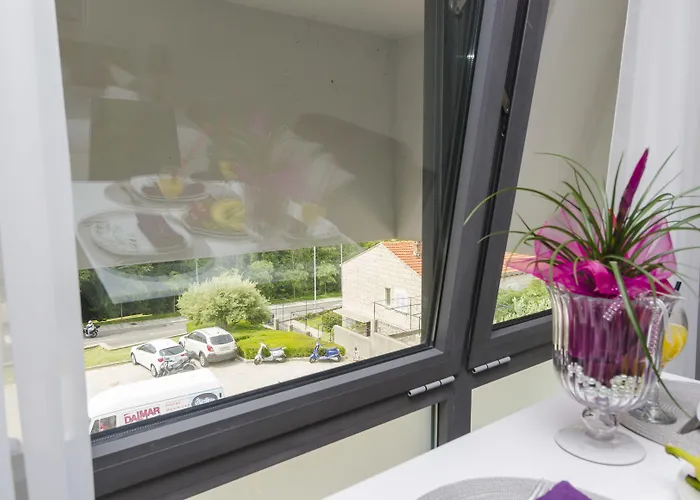 Zoomzoom دوبروفينك