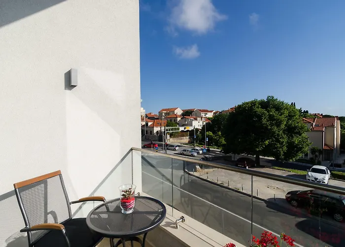 Zoomzoom دوبروفينك